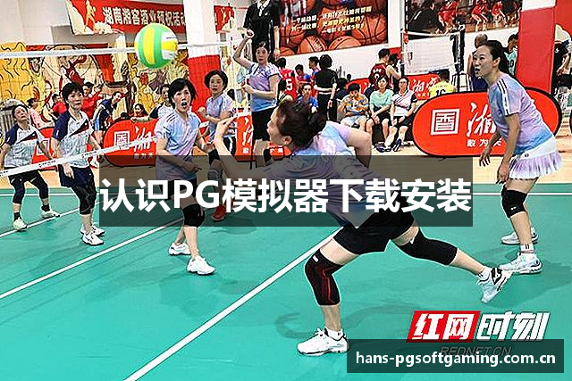认识PG模拟器下载安装